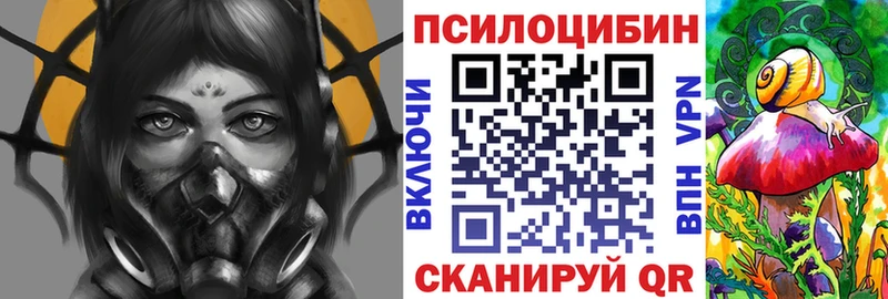 Купить  Венёв  Псилоцибиновые грибы Cubensis 